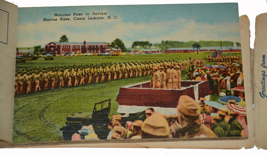 Image 5