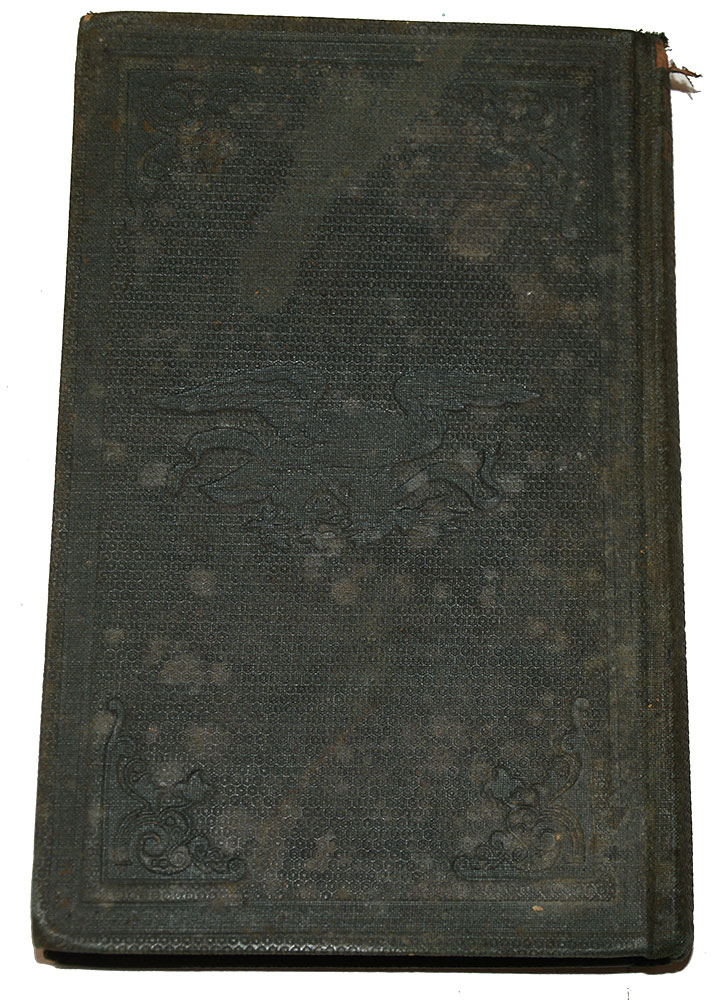 Image 7