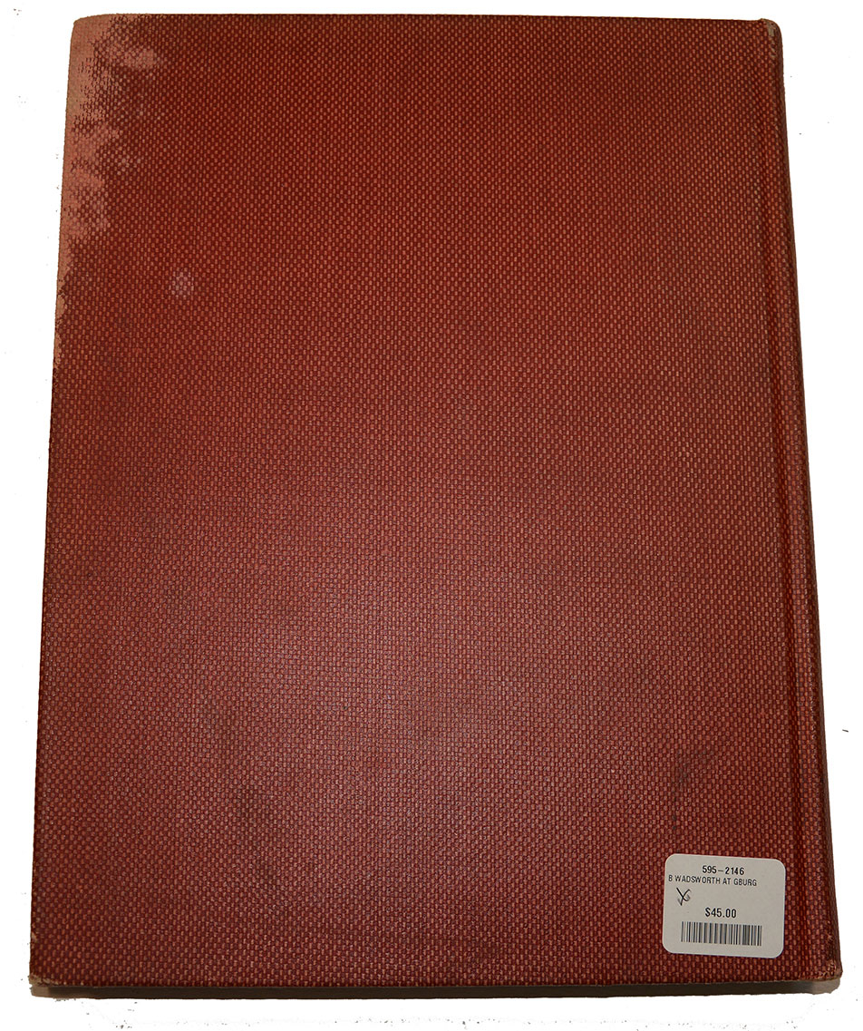 Image 6