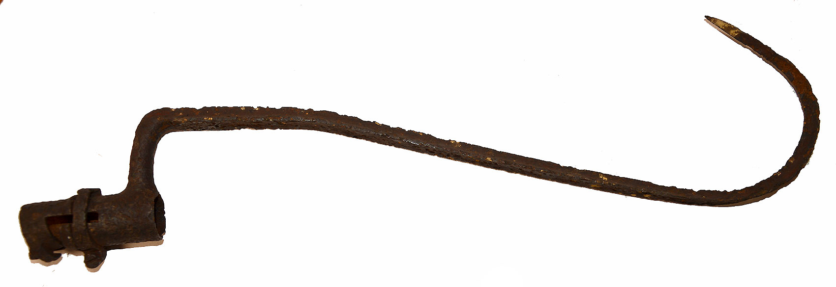 Image 3