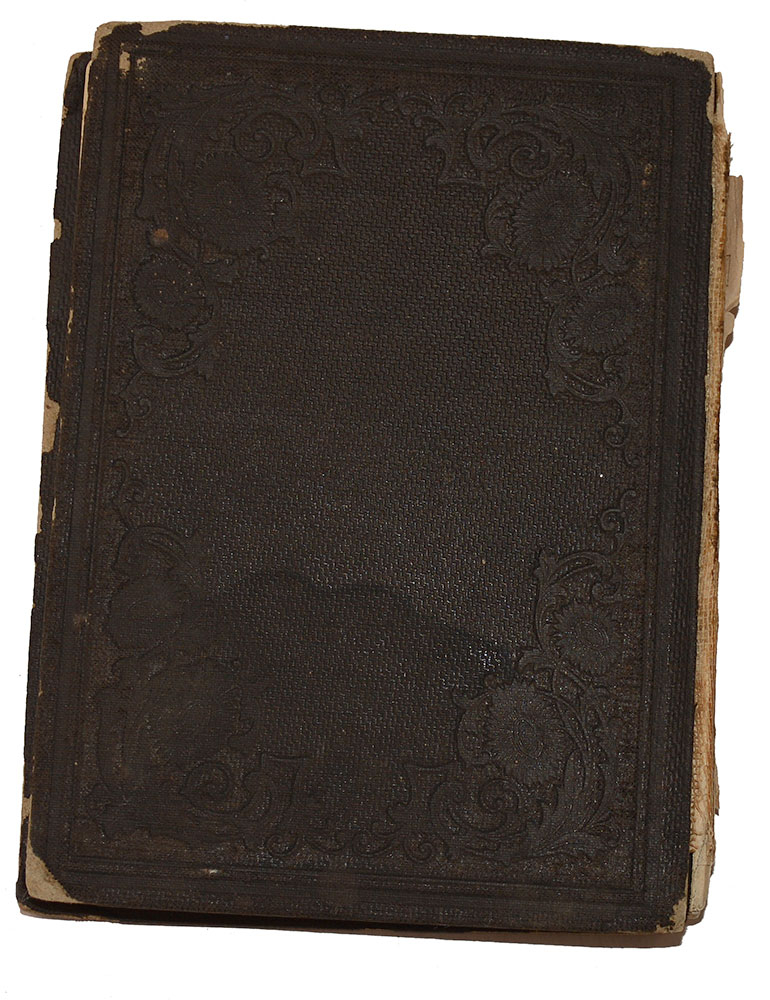 Image 7