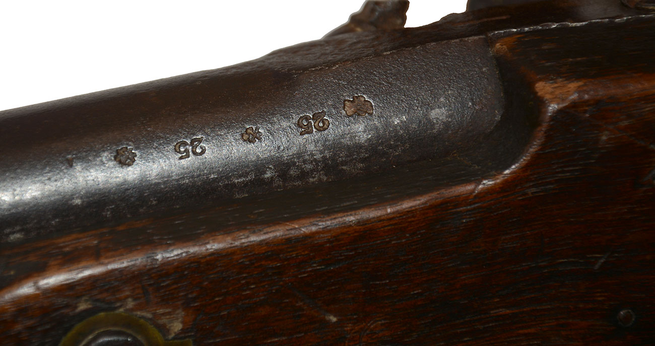Image 15