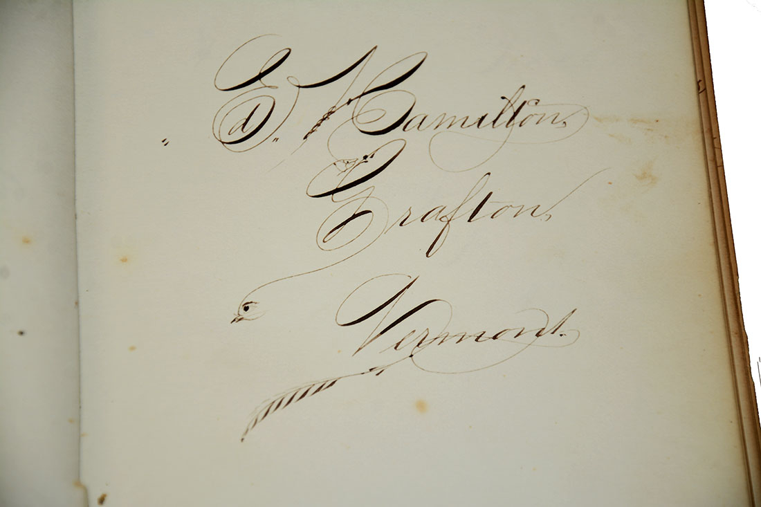 Image 6