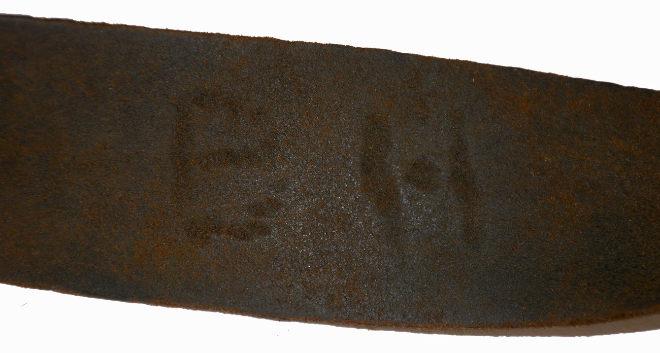 Image 13