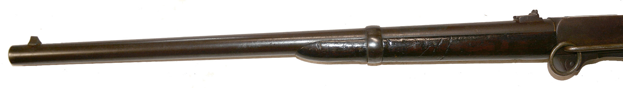 Image 19