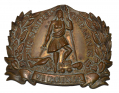 VIRGINIA STATE SEAL SHAKO PLATE