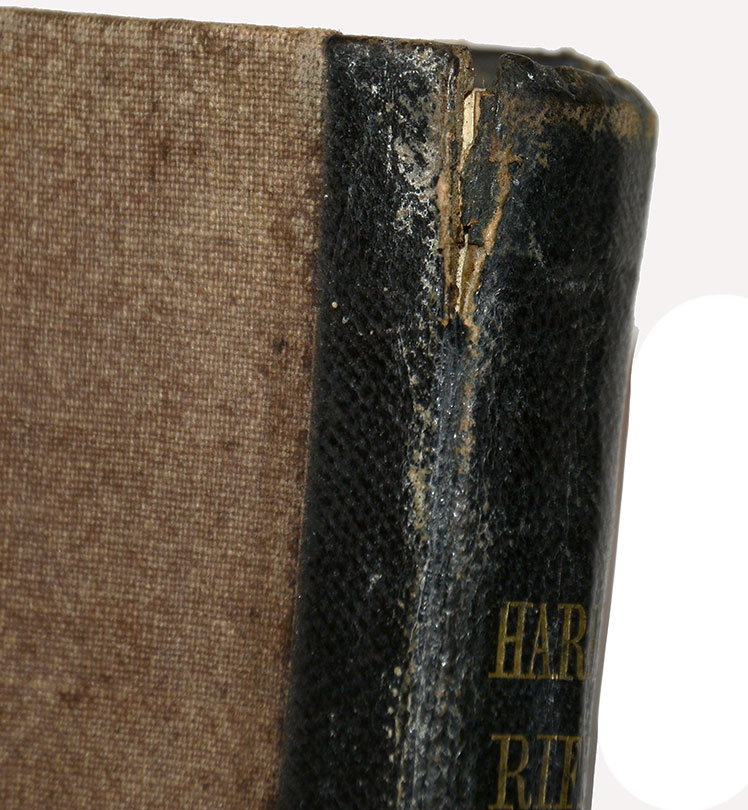 Image 9