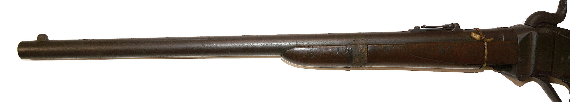 Image 19