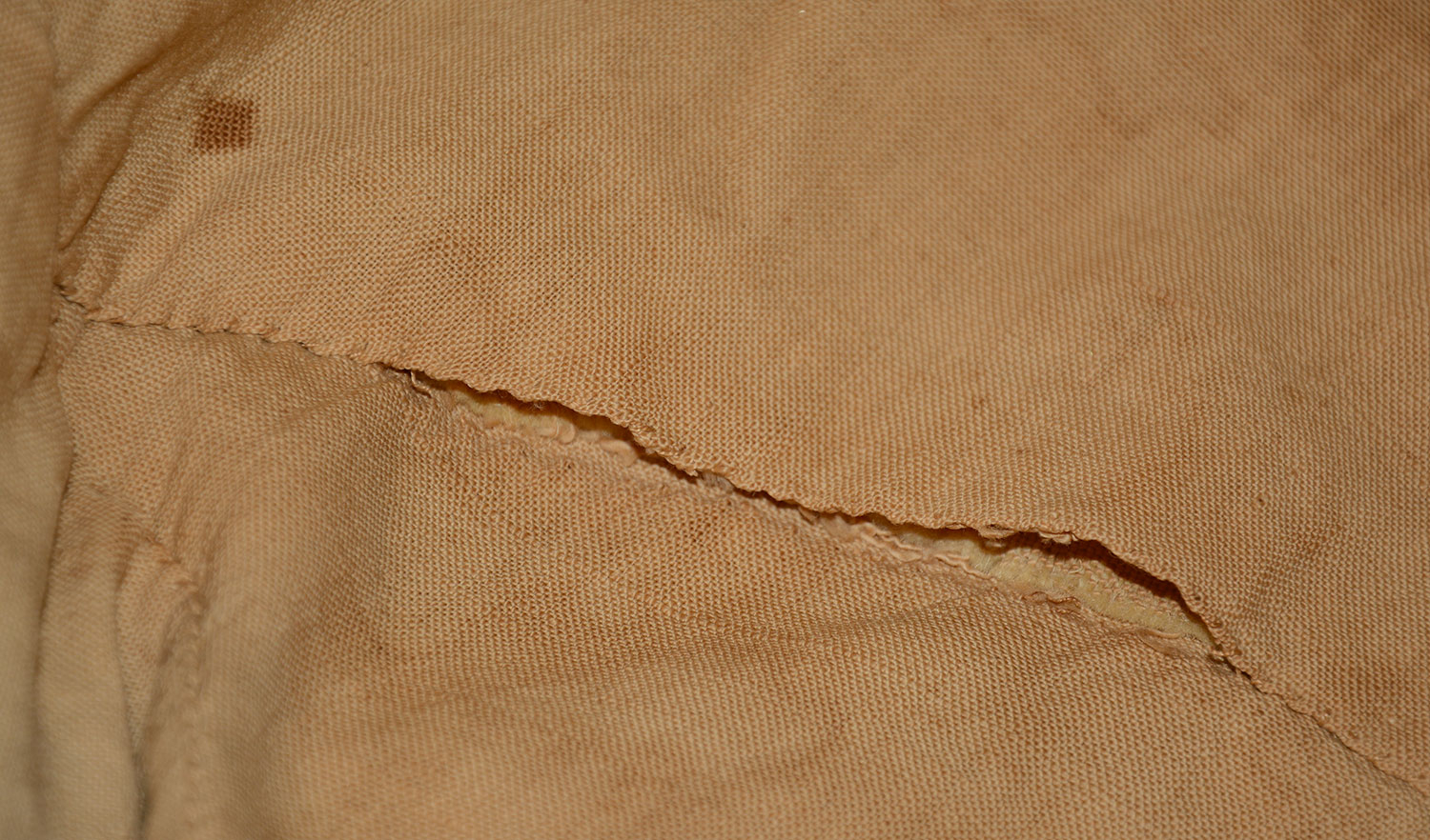 Image 13