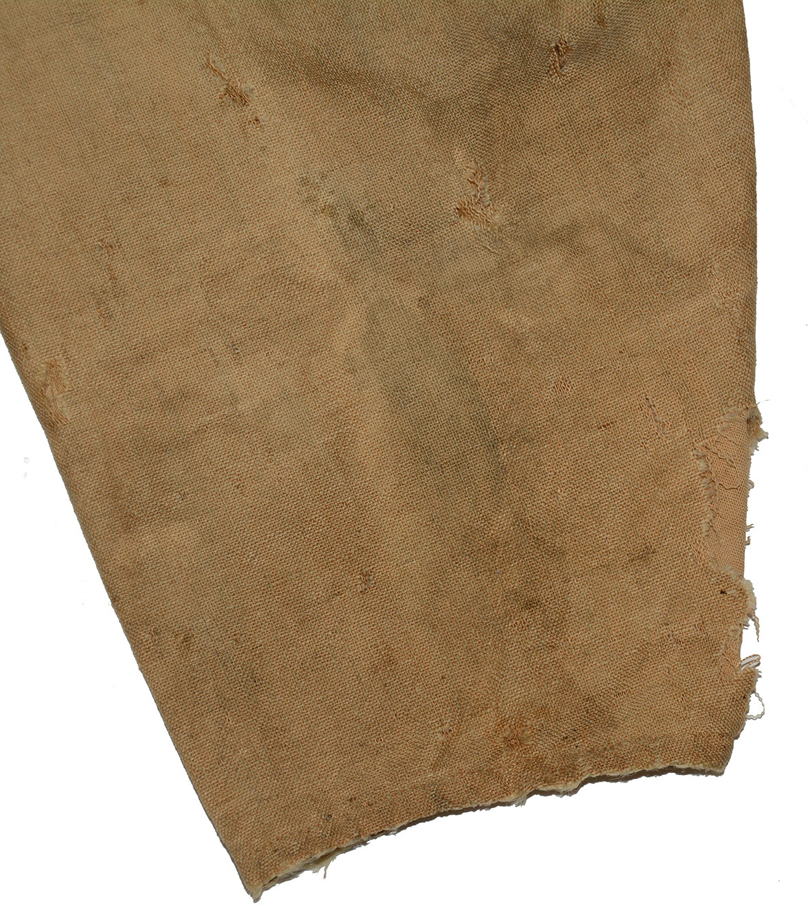 Image 19