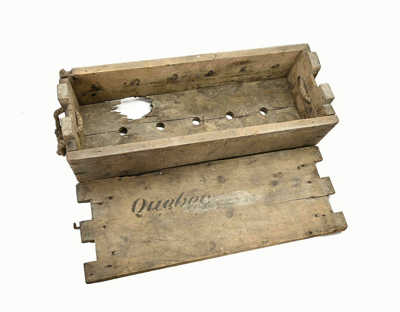 Image 7