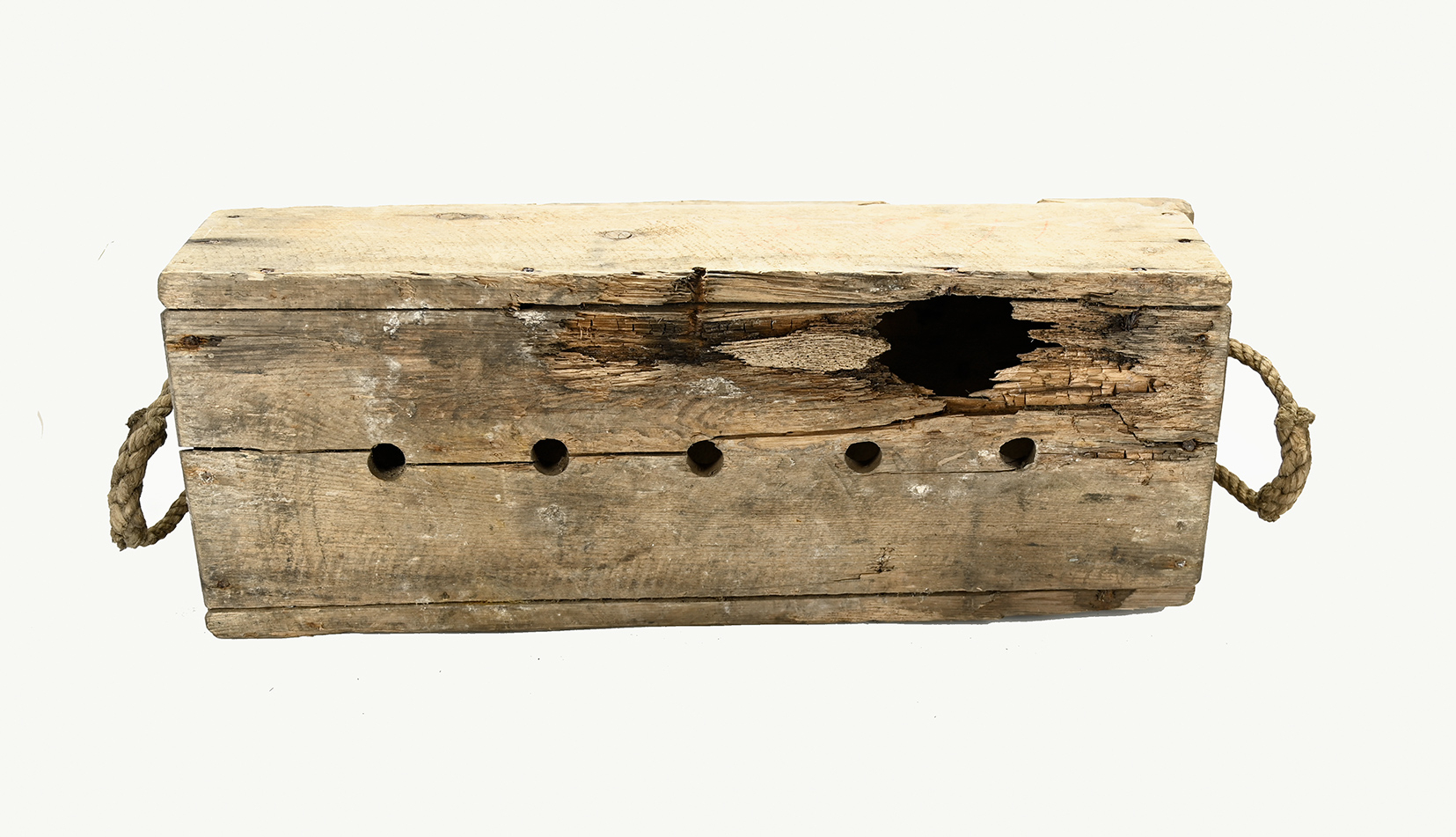 Image 11
