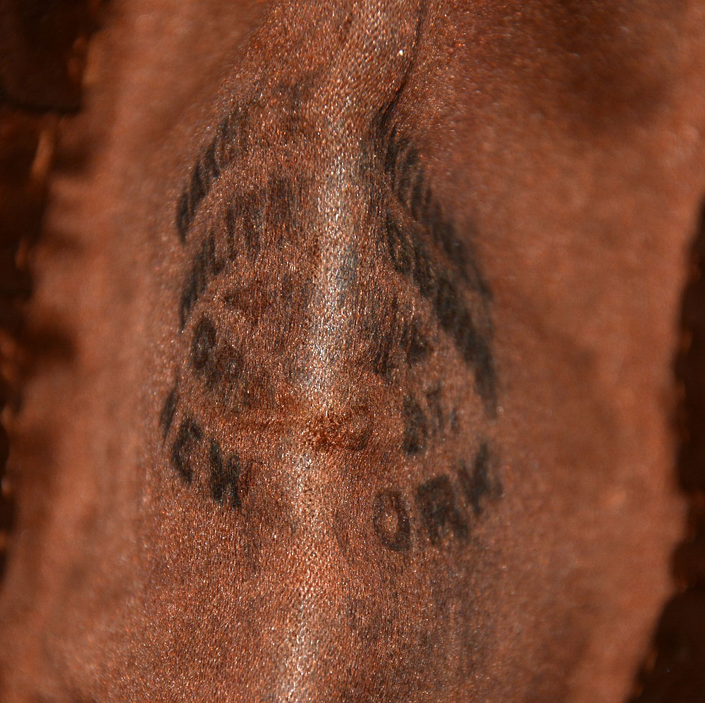 Image 21