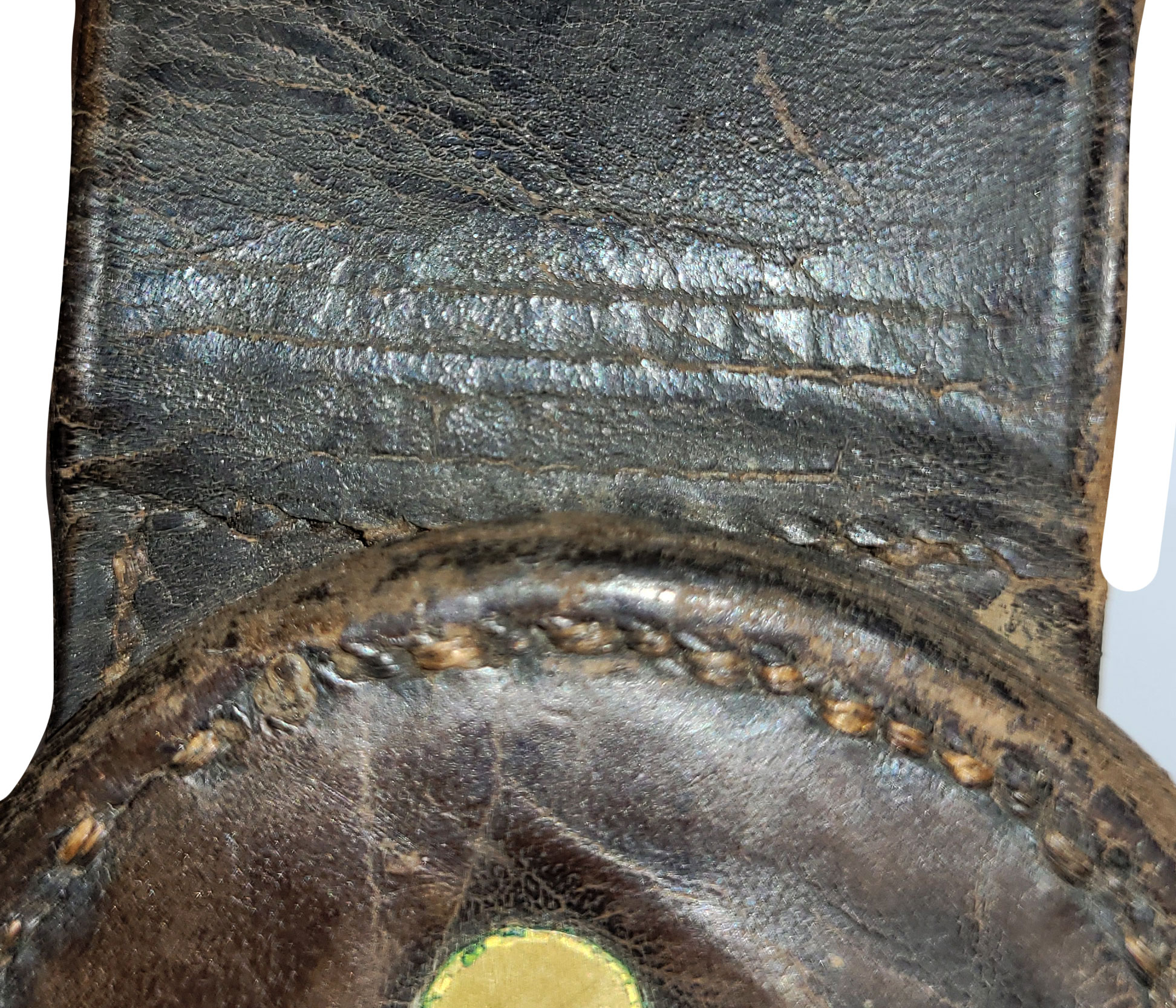 Image 8