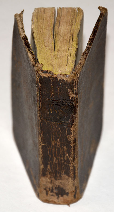 Image 8