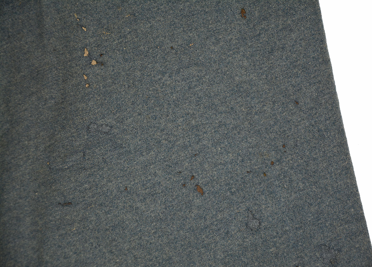 Image 19