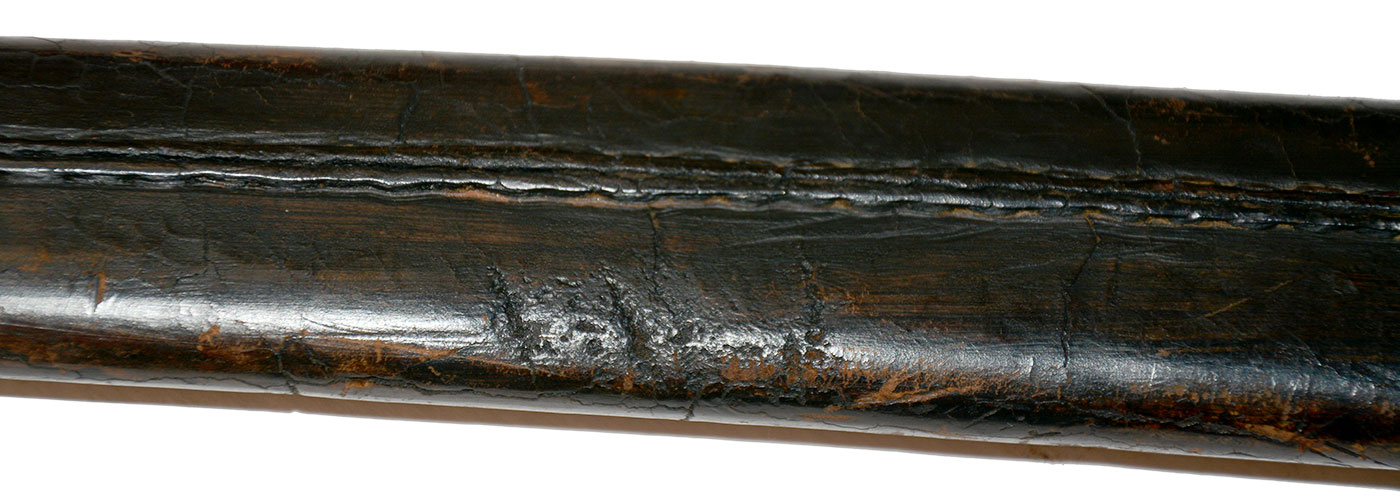 Image 13