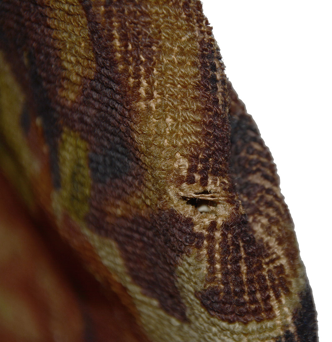 Image 8