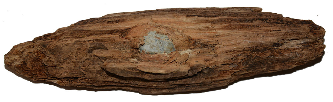 BULLET IN WOOD RECOVERED IN VIRGINIA