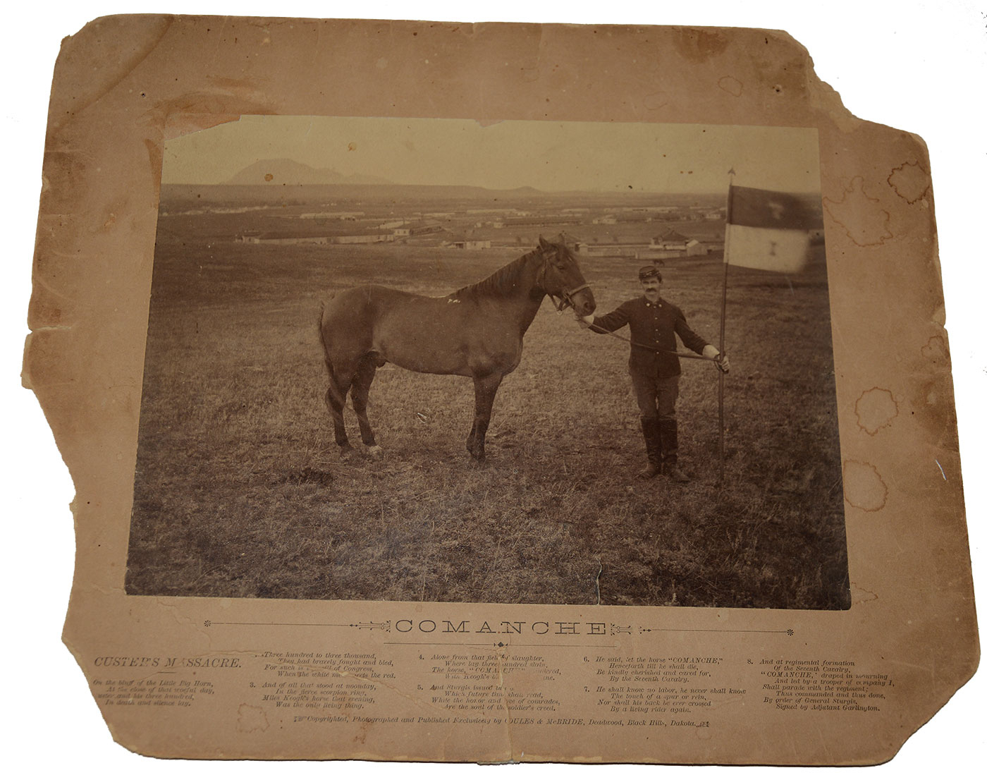 ALBUMEN PHOTOGRAPH OF “COMANCHE” THE HORSE THAT SURVIVED LITTLE BIG HORN