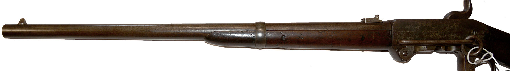Image 15
