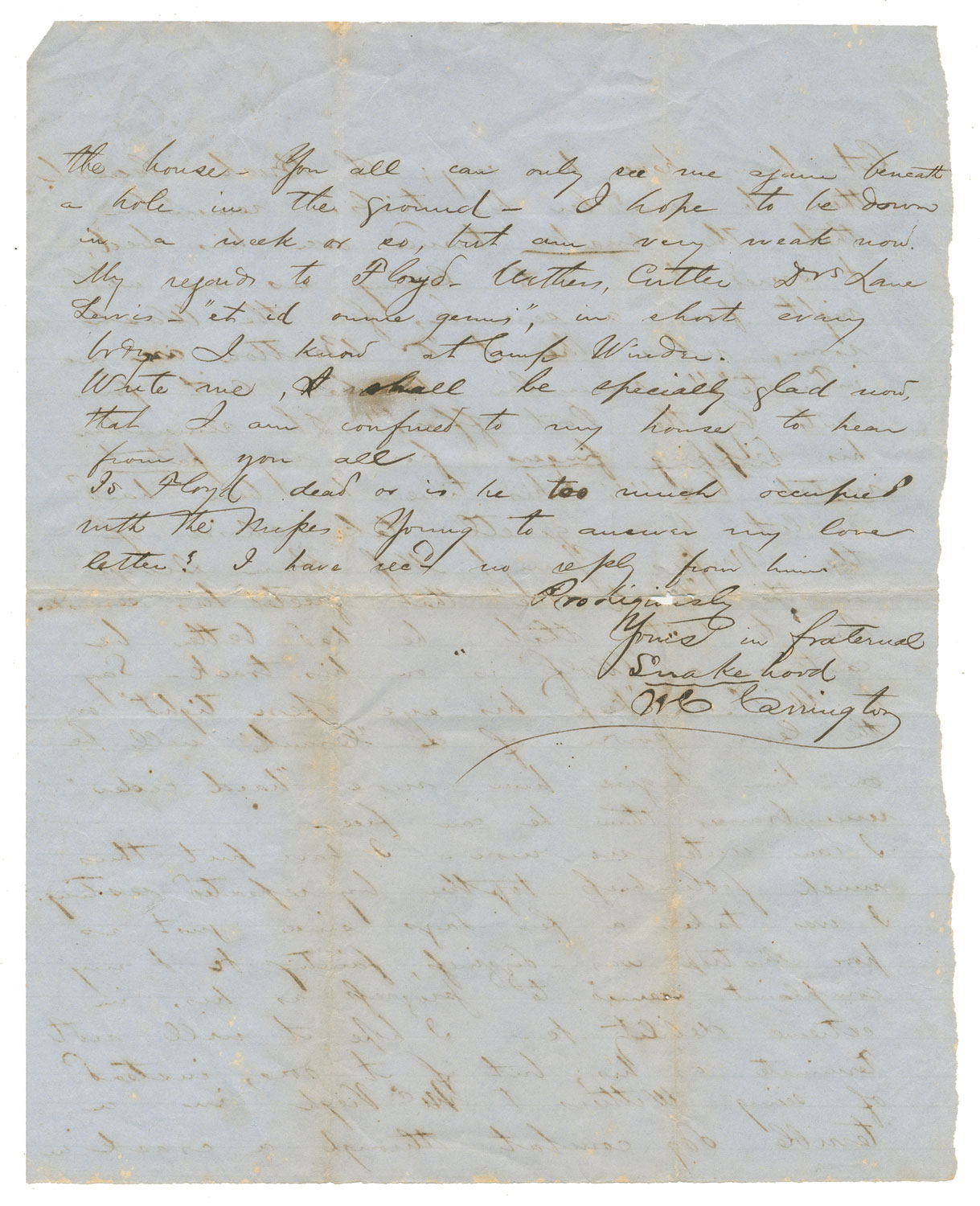 Image 6