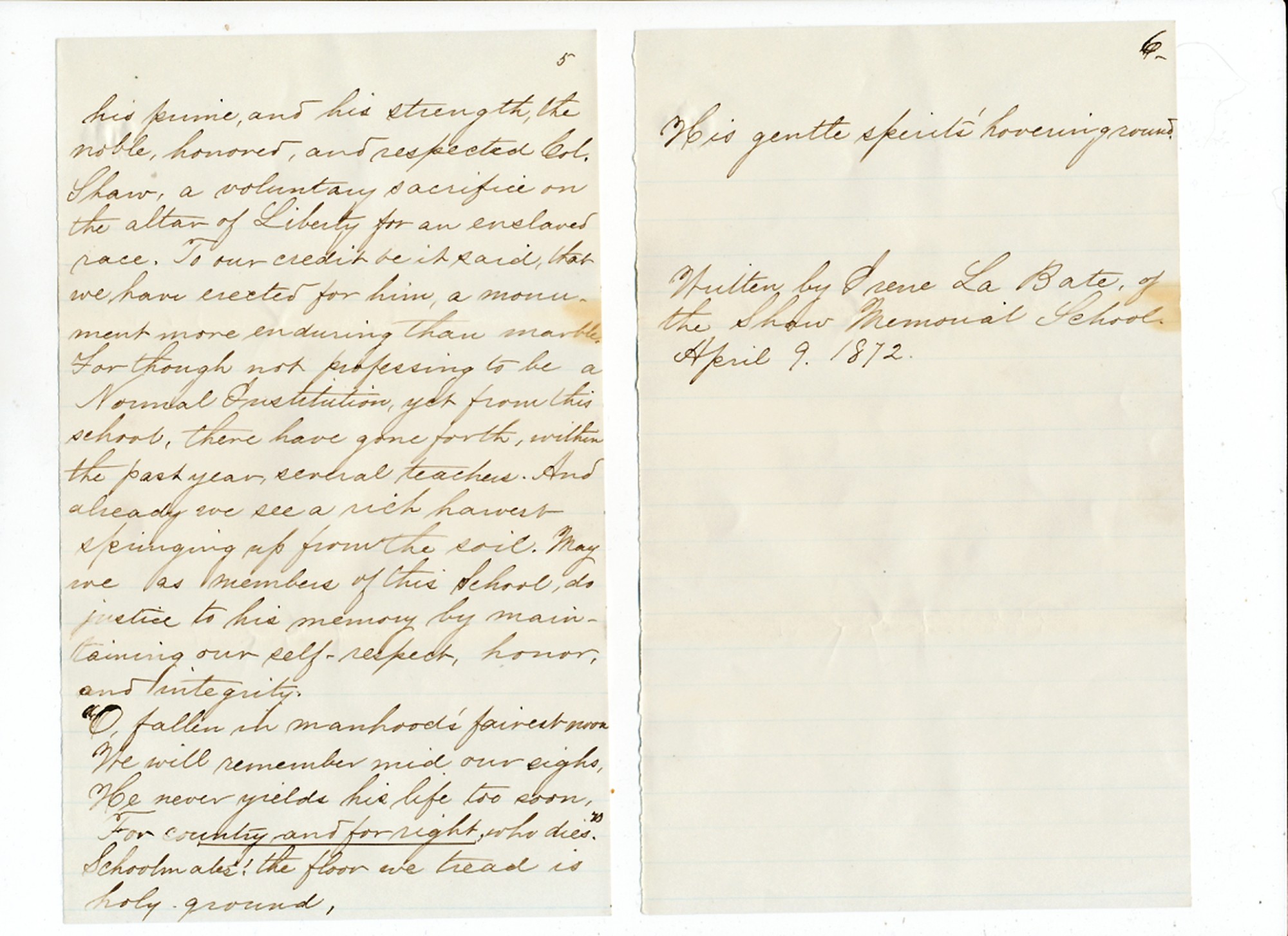 Image 3
