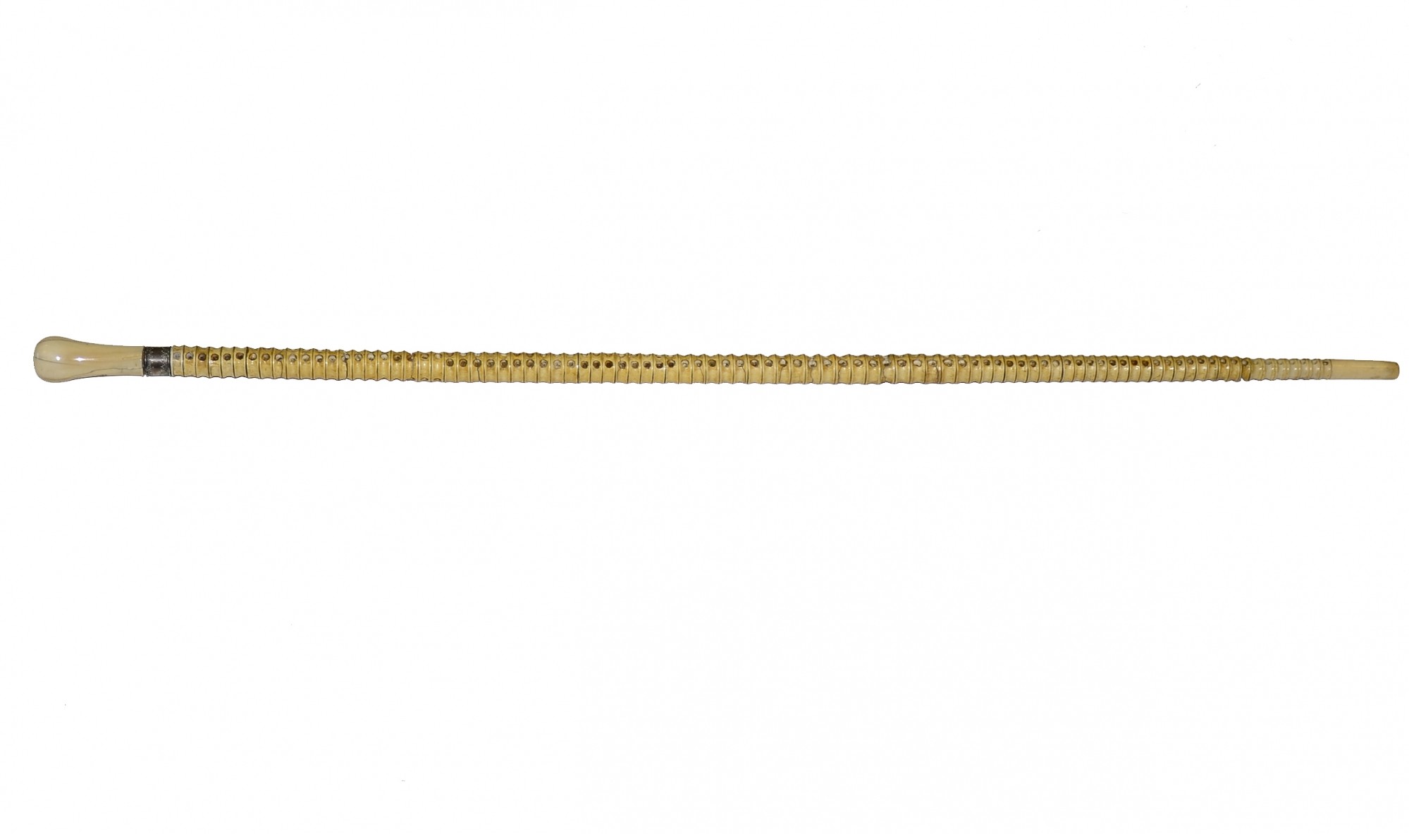 HANDSOME SHARK VERTEBRAE WALKING STICK IDENTIFIED TO UNION GENERAL QUINCY A. GILMORE