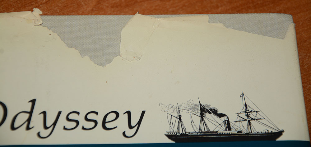 Image 2