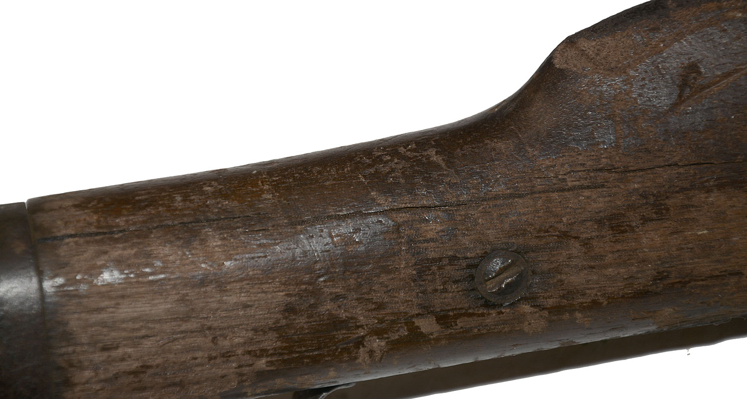 Image 13