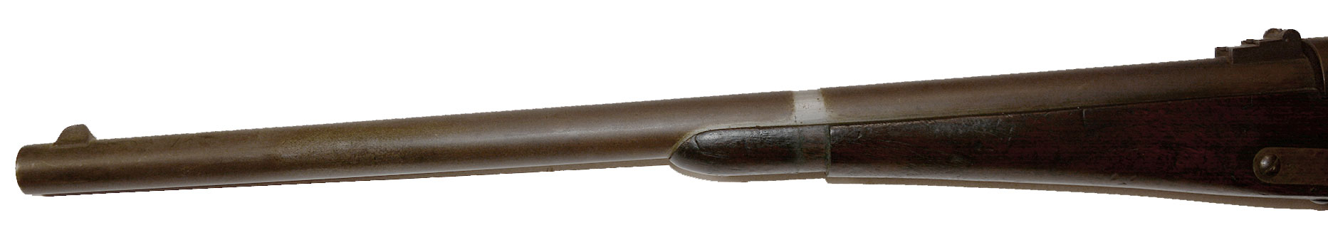 Image 19