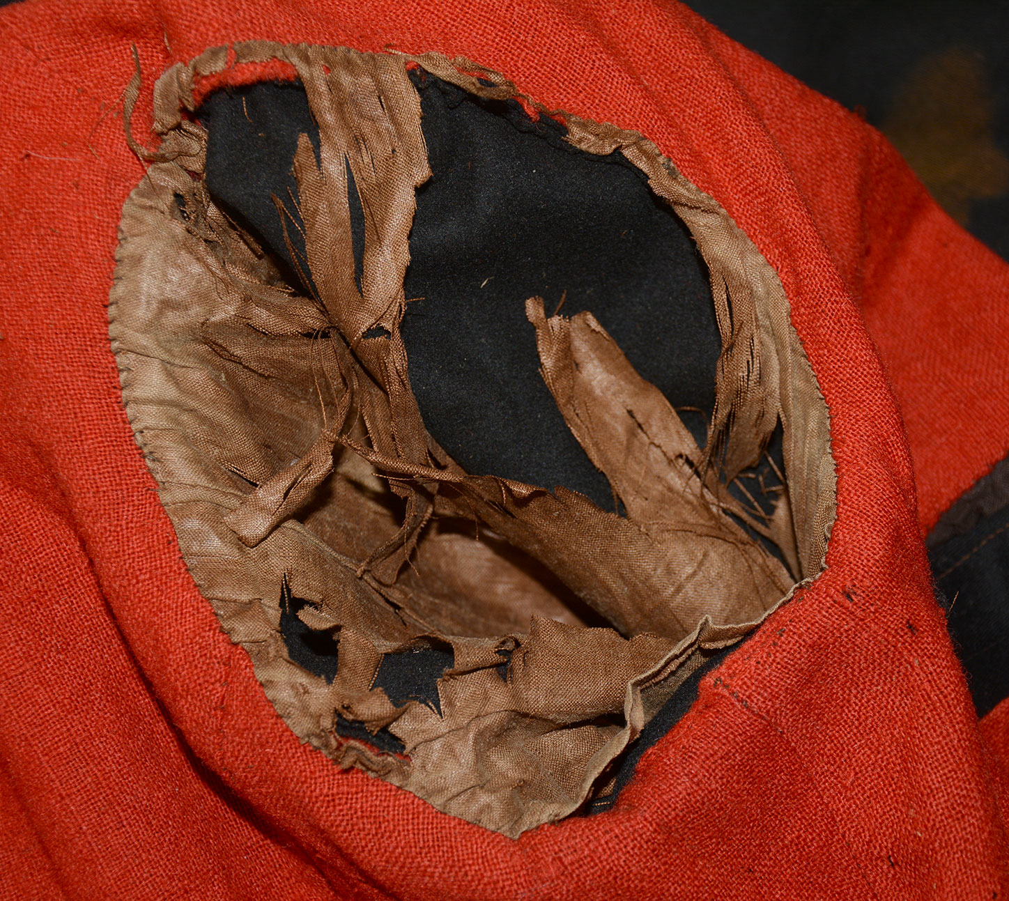 Image 31