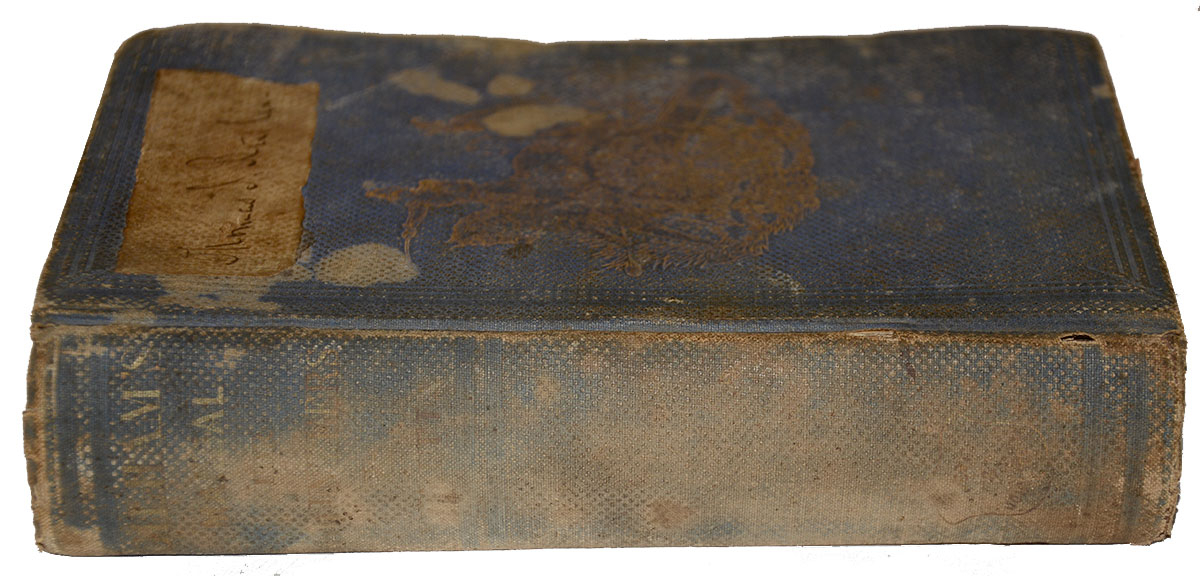 Image 3