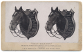 OLD BALDY (MEADE’S HORSE) CABINET CARD PHOTO