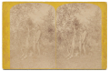 LARGER STEREO CARD – INDIANS OF THE COLORADO VALLE,  UTAH - U.S. SURVEY PHOTO, “Nau-no-kwits and his Eagle.”