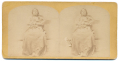 ANTIQUE STEREO CARD – SPOTTED TAIL, SICHANGU LAKOTA TRIBAL CHIEF