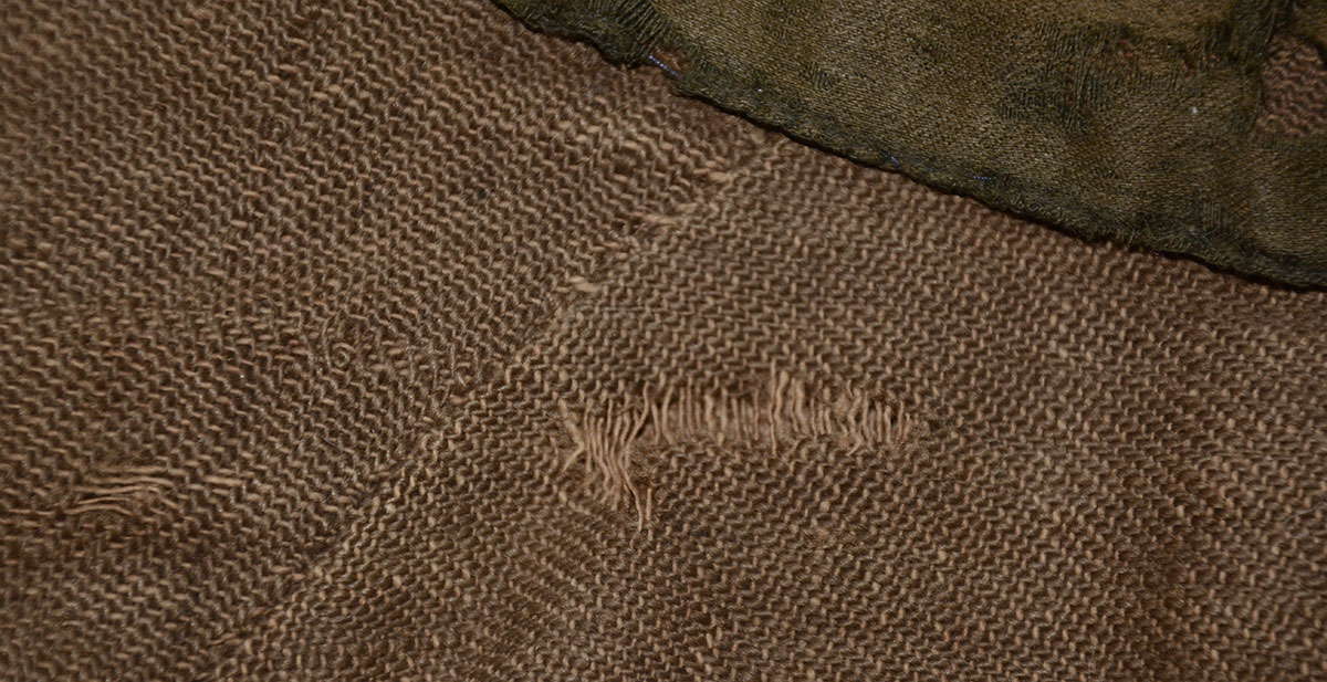 Image 15
