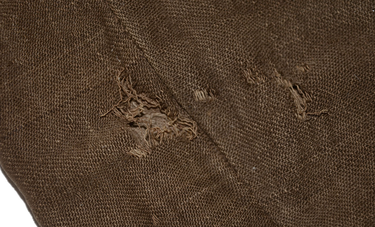 Image 19