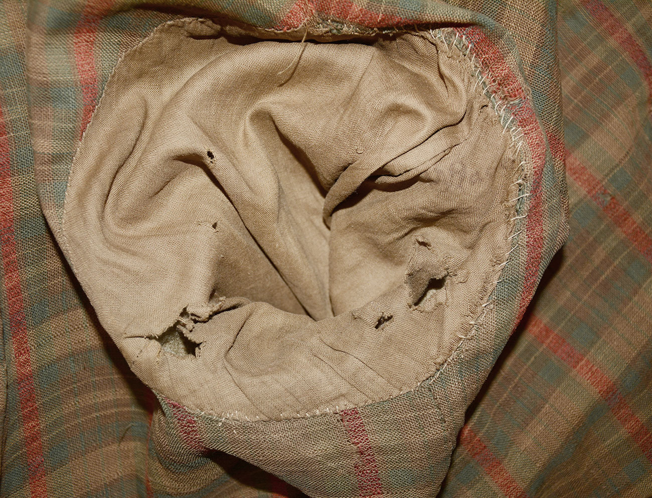 Image 15