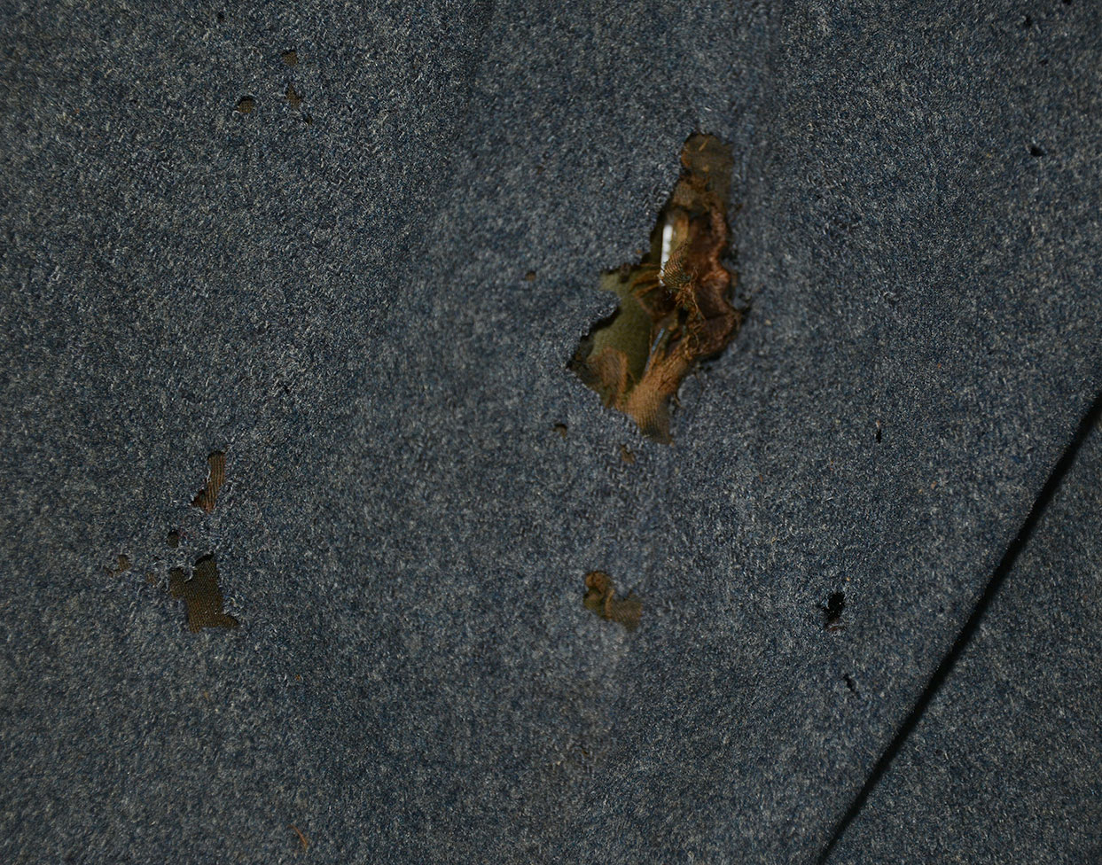 Image 23