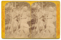 LARGER STEREO CARD – INDIANS OF THE COLORADO VALLEY, 1874, US SURVEY PHOTO - “MO-A-PA-RI-ATS” TRIBE OF THE RIO VIRGIN, NEVADA