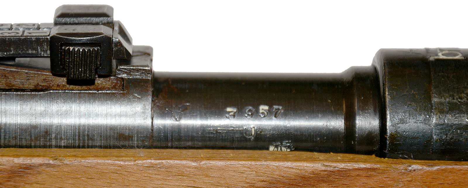 Image 12