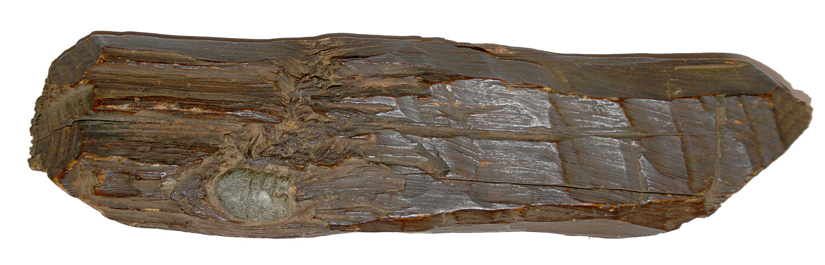 BULLET IN WOOD FROM CHANCELLORSVILLE