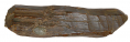 BULLET IN WOOD FROM CHANCELLORSVILLE