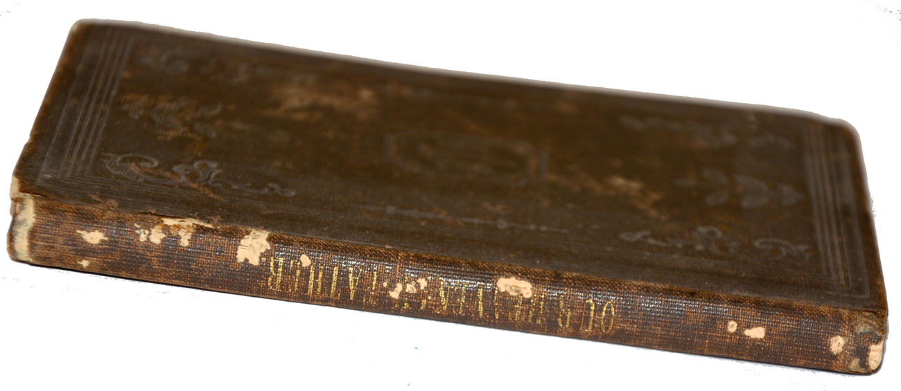 Image 2