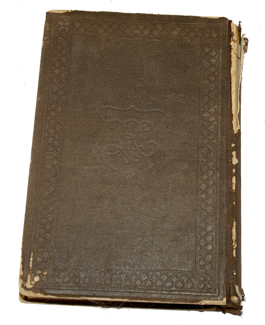 Image 6