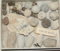 LOT OF BULLETS / RELICS FROM FT. DERUSSY -- GREG COCO COLLECTION BEND (1814)