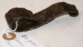 REVOLUTIONARY WAR RELIC – SMALL POT HOOK FROM NORTH REDOUBT, NY