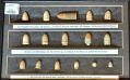 CIVIL WAR CARBINE & PISTOL BULLET DISPLAY WITH LABELS