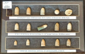 CIVIL WAR BULLET DISPLAY WITH LABELS